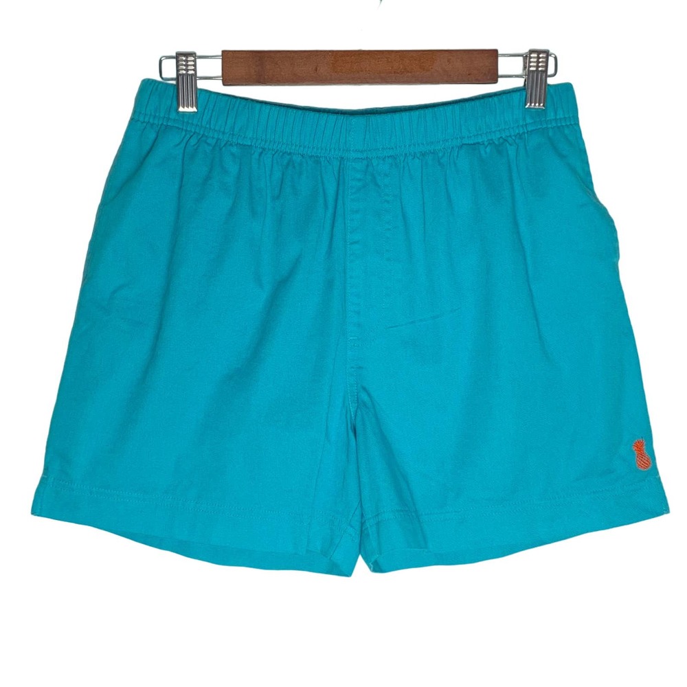Chubbies | Men | Teal Green Pineapple Dad Shorts | Size Medium
